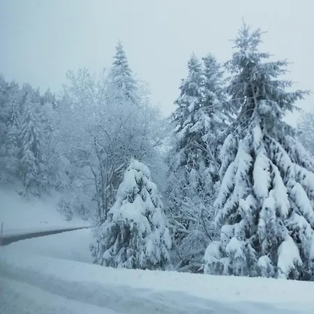 L'auvergnate Semesterbostad Chambon-sur-Lac